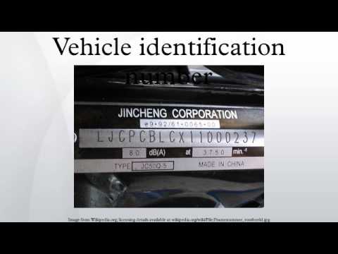 motor vehicle serial number